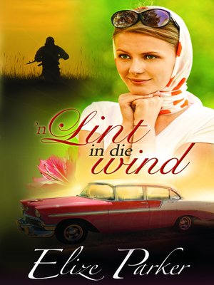 cover image of n Lint in die wind